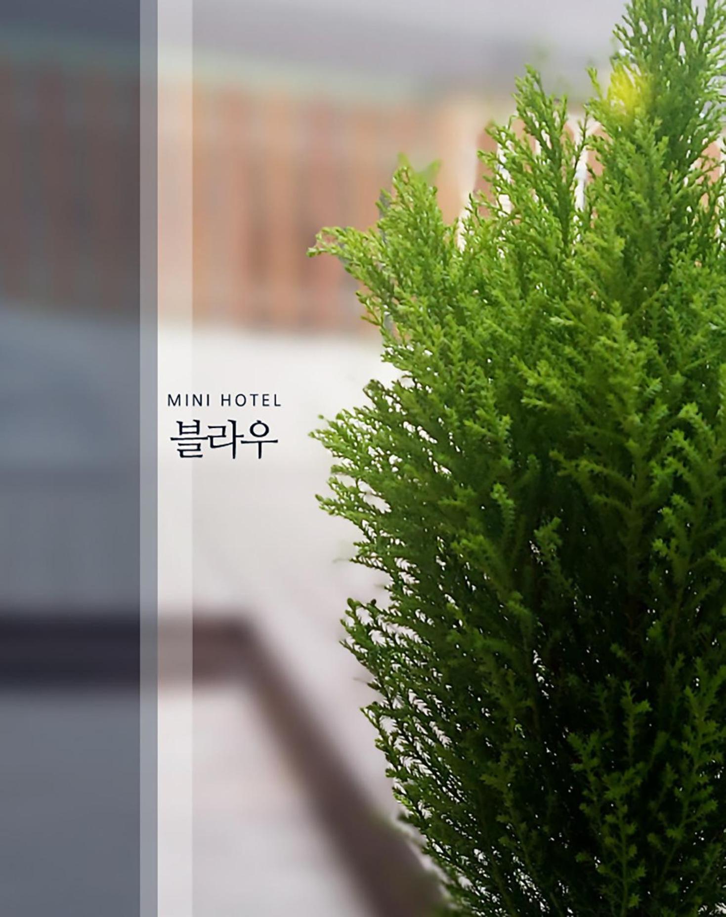 Blau Guesthouse Gyeongju Exteriör bild